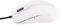 Dream Machines 1 FPS Blizzard White Standard 1 Device2 Year PC/Mac USB Stick USB Stick