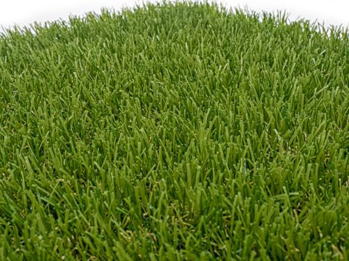 Gazon artificiel ARES, Pelouse Synthétique 30 mm, Dimensions 2 x 4 m (8 m2), Herbe Synthétique, « Le triomphe dans votre jardin », Livraison gratuite