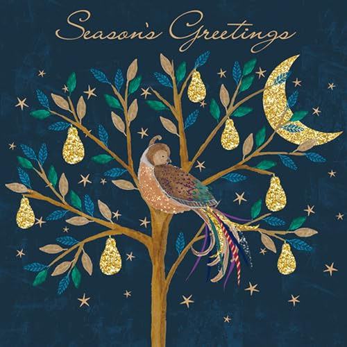 Noel Tatt Charity Christmas Cards Pack of 10 - Festive Partridge in a Pear Tree - Premium Greeting Cards Multipack with Envelopes - Supporting UK Charities