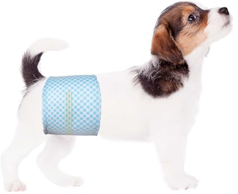 Flying Paws Bandas Desechables para el Vientre para Perros machos, pañales para Cachorros machos con indicador de Humedad, pañales Suaves súper absorbentes para Perros machos, XS, 20 Unidades