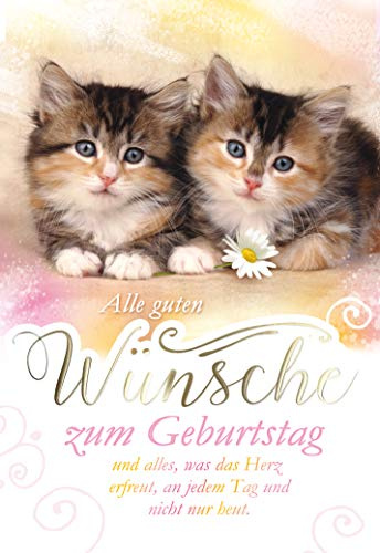 KE - Premium Geburtstagskarte mit Katzenmotiv, DIN B6 Format, Inklusive Umschlag, Perfekt für Katzenliebhaber - Motiv: Katzenbabys II