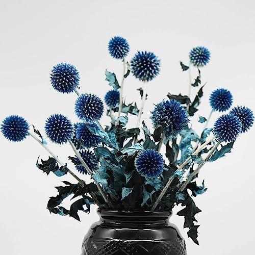 20+ Balls Dried Blue Green Thistle Flowers Bouquet - 15 Preserved Echinops Globe Flower for Wedding, Boho Party, Home Decor, Table Center, DIY Floral Arrangements, Present Box Decorations, Dry Flower