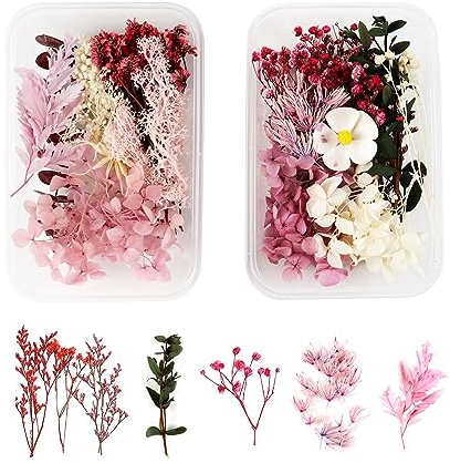 MUYAPAY Natürliche Trockenblumen, 2 Boxen zum Basteln, Rot (Rose)