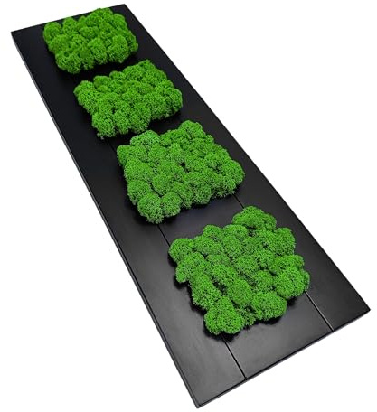 Islandmoosbild Moosbild Islandmoos Rentiermoos Moos Moosbilder Wandbild Wanddeko Wandbilder mit Island Moss Mooswand Pflanzenbild Bilder Deko mit Holzrahmen Bilderrahmen (61,5 x 19 cm, Schwarz)