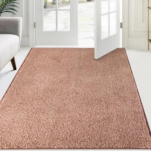 FCSDETAIL Smutsabsorberande matta för inomhus, 137 x 210 cm, halkfri renhållande entrématta, entrédörrmatta, vattenabsorberande, golvmatta, tvättbar matta för vardagsrum och sovrum