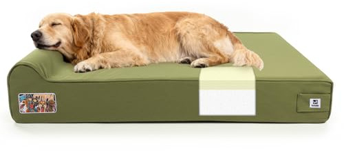 Sytopia 7 Thick Orthopedic Dog Beds for Extra Large Dogs, Canvas Dog Bed with Chew Proof Fabric Cover, Ups to 150 Pounds, 35D Memory Foam Dog Beds with Waterproof Liner & Washable Cover, Green