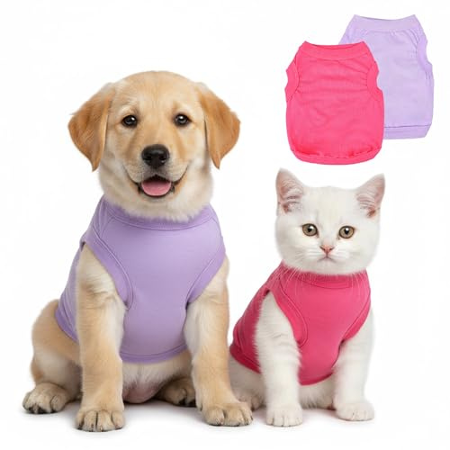 Lot de 2 vêtements pour chiens de petite taille (femelle) – Chemise douce pour chihuahua mignon – Vêtements respirants pour animaux de compagnie – Style toute l'année avec tenue style réservoir