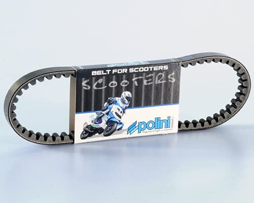 POLINI Motoren Riemen Variator