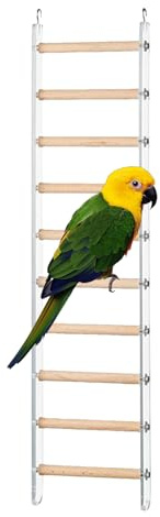 Klättringsleksak - Fågelstegar för papegojdjur | klätterleksak för inomhusbur | tunna stege-träningsleksaker med 360° roterande för Conure Fickor