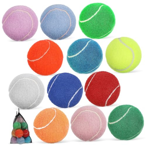 HEMOTON 12 Stück Hundetennisbälle Welpentrainingsgeräte aus Gummi mit Glatter Oberfläche Inklusive Netzbeutel als Welpen Trainingsspielzeug und Fangbälle für Haustiere Zufällige Farbe