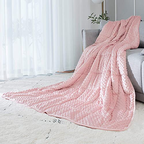 ALANSMA Reversible Weighted Blanket for All Season, Luxury Velvet, Warm and Cool, Adult Kids 5Lb Weighted Blanket, Enjoy Sleeping Anywhere(Pink,36x48 5lbs)