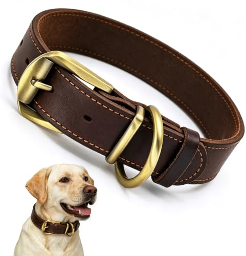 QianRuiDa Hundhalsband i Äkta Läder - Justerbar Storlek, Solid Metalspänne, Lämplig för Träning, Promenader och Daglig Användning - XL