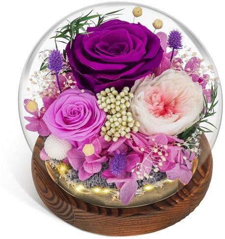 CSYY Rosa Eterna LED Luces Infinito Flor Preservada Bola de Cristal Vidrio Morado y Austin con Hortensias y Flores de Arroz para Mujeres Mamá Novia Esposa Día de Cumpleaños Púrpura