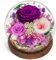 CSYY Rosa Eterna, Regalo di Natale Vetro con Luce Infinity Vetro Rosa Viola e Austin Conservati Infiniti Durevoli Fiore Viola Luce Regali Eterni Donne Mamma Fidanzata Moglie San Compleanno Viola