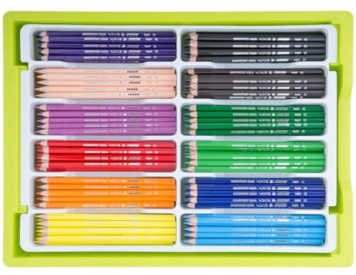 JOLLY Supersticks Aqua Big Box – Kindertagesstätten Set mit 240 Aquarellierbaren Stiften in 12 Grundfarben, Ungiftig, Stapelbare & Leicht zu Reinigende Aufbewahrungsbox, 100% Made in Austria
