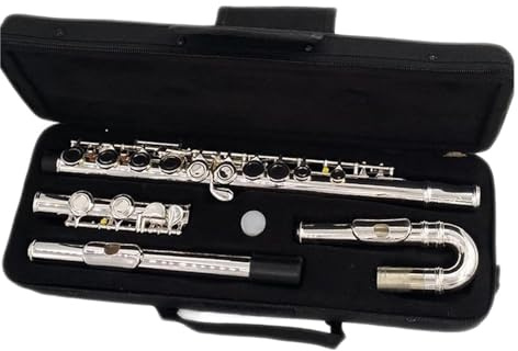 Flauto traverso flauto per principianti Flauto da concerto placcato in argento cupronichel con chiave C a 16 fori chiusi con due bocchini
