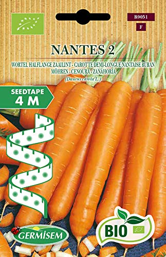 Germisem Möhren NANTES 2 ECBIO9051 seed tape möhren nantes 2