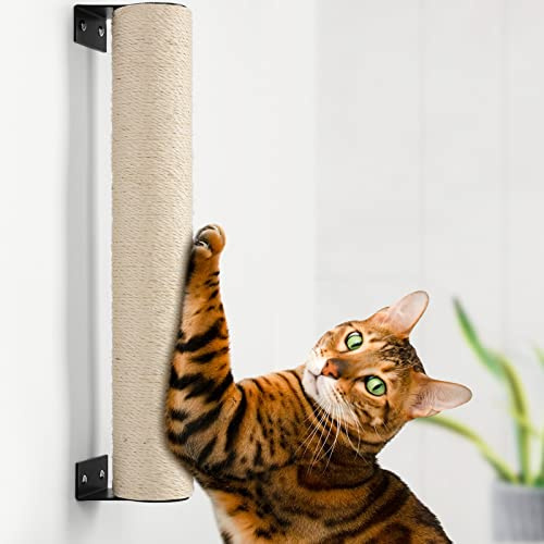 BEBOBLY Poste rascador para gatos de interior montado en la pared, estantes de pared para gatitos, muebles de escalada, cuerda de sisal, árbol rascador de garra de gato, pasarela de madera maciza para