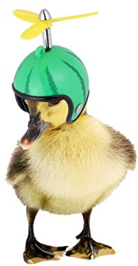 Yardwe 2stücke Schutz Helm Für Hühner Pet Hut Spielzeug Helm Aus Leicht Und Praktisch Zu Verwenden Für Haustier Vögel Etc Sicher