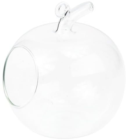 Vaso Decorativo a Forma di Mela in Vetro per Piante Piccole | Contenitore Trasparente dal Design Moderno, Scelta Regalo , per Patio e Stanza, Atmosfera Creativa