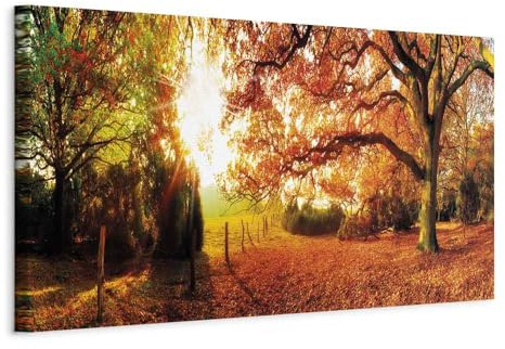 B&D XXL - Leinwandbild Panoramabild, 120x40 cm, 1-teilig, Schlafzimmer | Hochwertige Leinwand, sofort aufhängbar, ideal fürs Wohn- oder Schlafzimmer, wasserfest und lichtecht, langlebig, stilvoll
