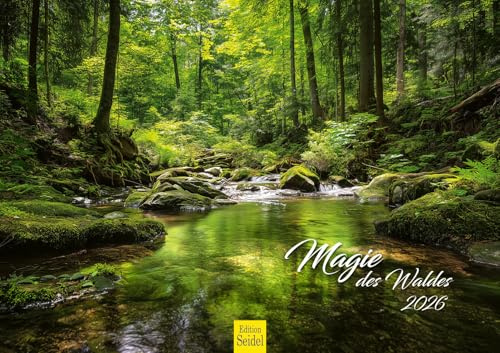Edition Seidel Premium Kalender Die Magie des Waldes 2026 Format DIN A3 Wandkalender Naturkalender Natur Wald Bäume