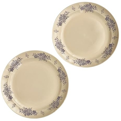 ADESUGATA Assiette vintage française en céramique pour gâteaux, collations, salades, desserts, steak, dessert, passe au micro-ondes et au lave-vaisselle, résistante aux rayures