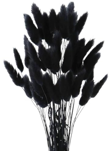 MHDAMAI Getrocknetes Pampasgras,Kaninchenschwanz Gras 60 Stück Natürlicher Trockenblumen Blumenstrauß Deko Künstlich Groß Trockenblumen Pampasgras für Inneneinrichtungen Fotografie Hochzeit Schwarz