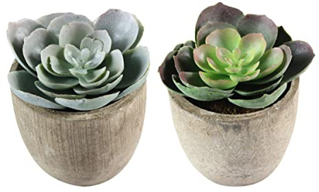 Zerodeko Artificial Simulation Plastic Plants 2pcs Pots in Succulent Retro Faux Realistic Decorative for Shelf Desktop Home Décor