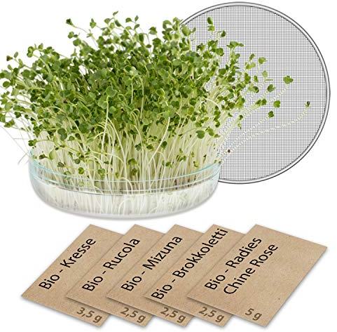 Microgreens-Pflanzset mit Keimglas für Sprossen mit Sieb GreenEdge Bio-Keimsprossen Aufzuchtset Pflanzen Microgreens Kräutersamen Zuchtset (1 Paket)