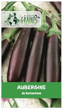 200 graines aubergine de barbentane - Chair tendre