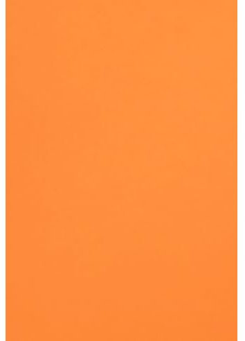 Netuno 50 fogli cartoncino colorato arancione A4 21 x 29,7 cm 300g Malmero Orange carta colorata da stampare per bomboniere inviti partecipazioni matrimonio Natale Pasqua compleanno