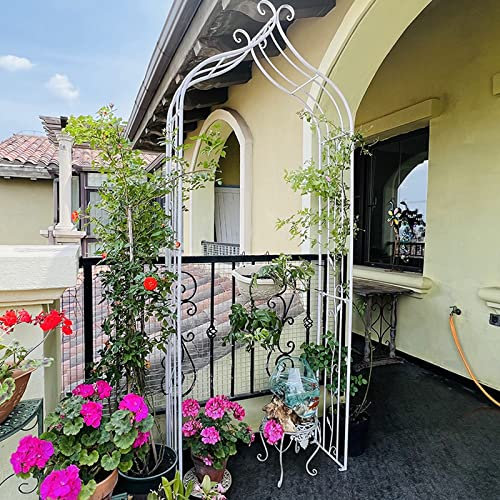 Arche Jardin pour Rosiers Plantes Grimpantes,Grande Arche De Jardin Extérieure, Arche De Rosiers Vigne Mariage, Pergola Tonnelle De Jardin, Intérieur Extérieur Décoration De Fête De Mariage ( Color :