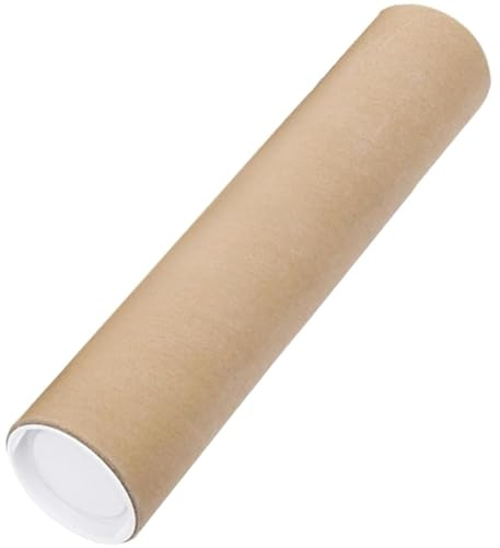 Tubes d'envoi avec capuchons d'extrémité en plastique, tubes d'expédition de 2x20 pouces, tubes d'affiches robustes et protecteurs, tubes en carton de remplacement en papier kraft, tubes en carton