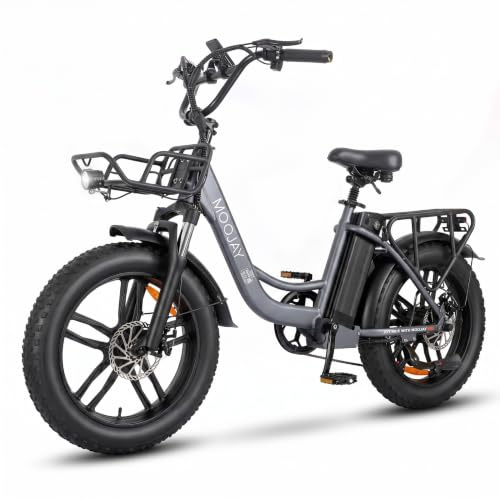 MOOJAY Vélo Électrique Adulte, Autonomie 80km, 25 km/h | Pneus 20 Tout-Terrain, 250 W, Batterie 48 V 13 Ah Amovible, 7 Vitesses, Écran LCD, Panier Métal, Freins à Disque Doubles