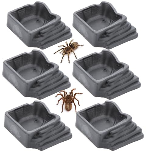 6 Pack Tarantula Water Bowl Hermit Crab Resin Dish for Reptile Tarantula Spider Millipede Insect (Large: 0.94 D, 0.47 H)