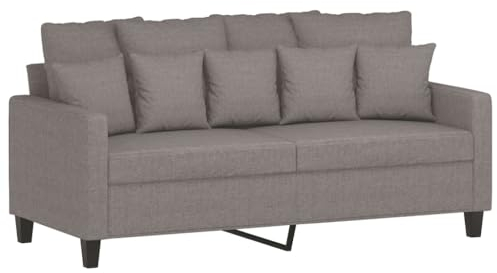 vidaXL Sofa 2-Sitzer, Loungesofa Couch mit Armlehnen Rückenkissen, Wohnzimmersofa Designsofa Metallgestell, Sitzmöbel Zweisitzer, Taupe Stoff