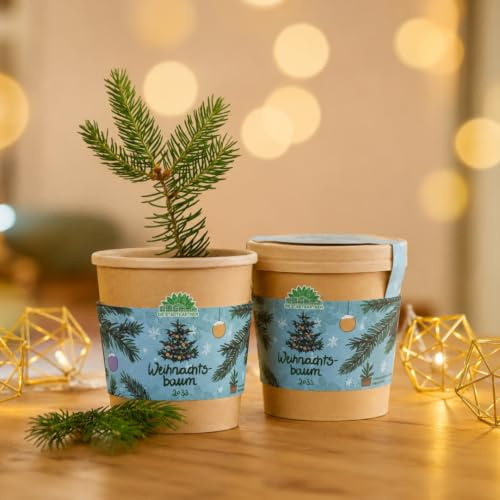 Geschenk Dein Weihnachtsbaum 2033 von Die Stadtgärtner | Christbaum-Anzuchtset mit Fichten-Samen | Inkl. Pflanzbecher, Saatgut und Kokoserde | Als Wichtelgeschenk, zum Nikolaus, für Adventskalender