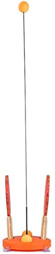 CLQ Tischtennis Trainer Tischtennis Training Tischtennis Bälle Paddel Set Elastic Soft Shaft Trainer Übung Kindersport Indoor Outdoor Spiel für Kinder Erwachsene