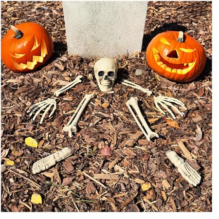 com-four® 9-teiliges Knochenset, Halloween Deko, menschliches Teil-Skelett | künstliche Knochen als anatomische Dekoration für Partys
