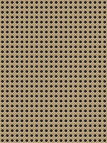 Auspicium Vintage Peel und Stick Tapete selbstklebend abnehmbar Vinyl Blume Kontakt Papier für dekorative Schlafzimmer Bad Haus Wand (17,3 x118) Rattan