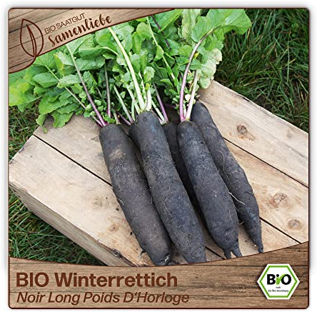 Samenliebe BIO Winterrettich Samen Noir Long Poids D'Horloge würziger Rettich langes Wintergemüse schwarz weiß 100 Samen samenfestes Gemüse Saatgut für Gewächshaus Freiland und Balkon BIO Gemüsesamen