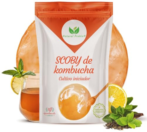 Natural Probio® Original Kombucha Scoby – Kit di avviamento per la coltivazione – Mere de Kombucha – Autentico ceppo + istruzioni complete, ricetta e consigli