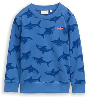 TOM TAILOR Barn pojkar sweatshirt, 39996 – Blue Shark Orca Print, 104