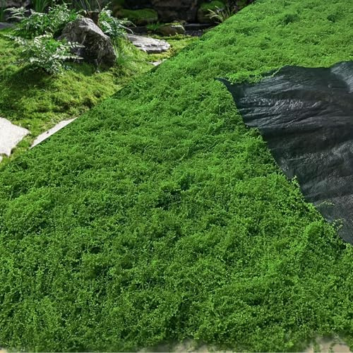 Gazon Synthetique Exterieur,Tapis De Mousse Artificielle Vert(100x100cm) | Faux Gazon,Artificielle Vert Pour DéCoration Murale D'IntéRieur,Jardin De Maison,Terrasse,Bricolage