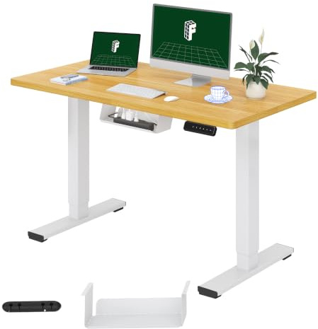 FLEXISPOT E1 ONE PIECE Electric Standing Desk Height Adjustable Sit Stand Desk with Memory Smart Panel(100 * 60cm, Maple)
