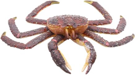 Toyvian Realistic Crab Plastic Toy Model Educational Marine Animal Figurine for Kids Aquarium Garden Home Decoration