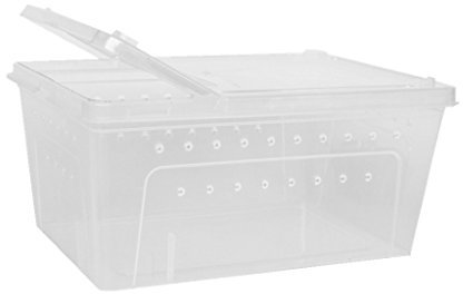 Fenteer Transparenter Plastikkasten Insekten Transport, Der Lebende Nahrungsmittel Einzieht, Die Kasten Einziehen, Weiß, 25x17.5x11cm