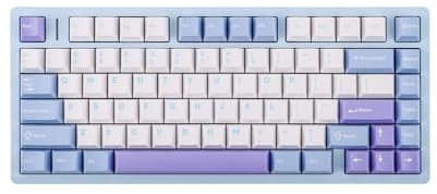 EPOMAKER AULA M75 Tastiera da Gioco Wireless con Batteria da 8000 mAh, Tastiera Meccanica in Alluminio al 75%, Tastiera Hot-Swap Cremosa, RGB e NKRO per Gioco/Ufficio (Blu, Flame Purple Switch)