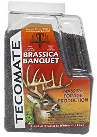 Tecomate® Seed CO - Brassica Banquet/Annual, 3lb Jug